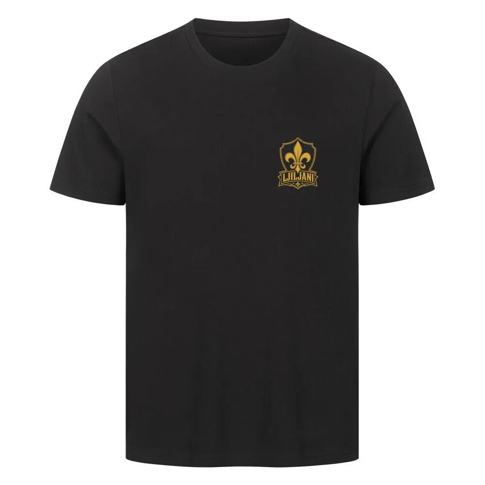 WM 2026 Fan Shirt Schwarz Multicolor Edition – Premium Statement Fanshirt FIFA 2026