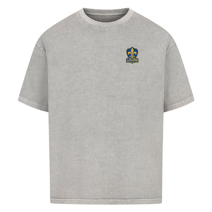 Image for color: washed grey