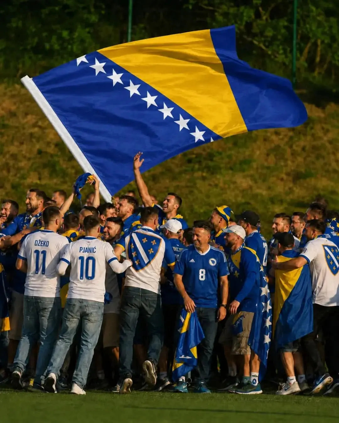 Bosnien und Herzegowina Flagge (BiH) | Standard - Premium Qualität 